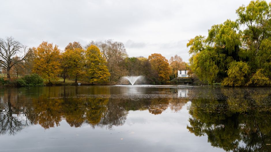 A tranquil pond surrounded by trees with autumn foliage in shades of orange, yellow, and green. The water surface is calm and reflects the colorful trees and an overcast sky. In the distance, a small water fountain sprays water upward, creating ripples. There is a small white building with a deck on the right side of the pond, partially obscured by a large leafy green tree. The scene is well-lit with natural light, showcasing a peaceful, natural environment. This setting exemplifies the serenity of outdoor surface cleanliness and natural landscaping, typical of an outdoor area that may benefit from routine maintenance by Barnes Carpet Cleaning for the surrounding premises.