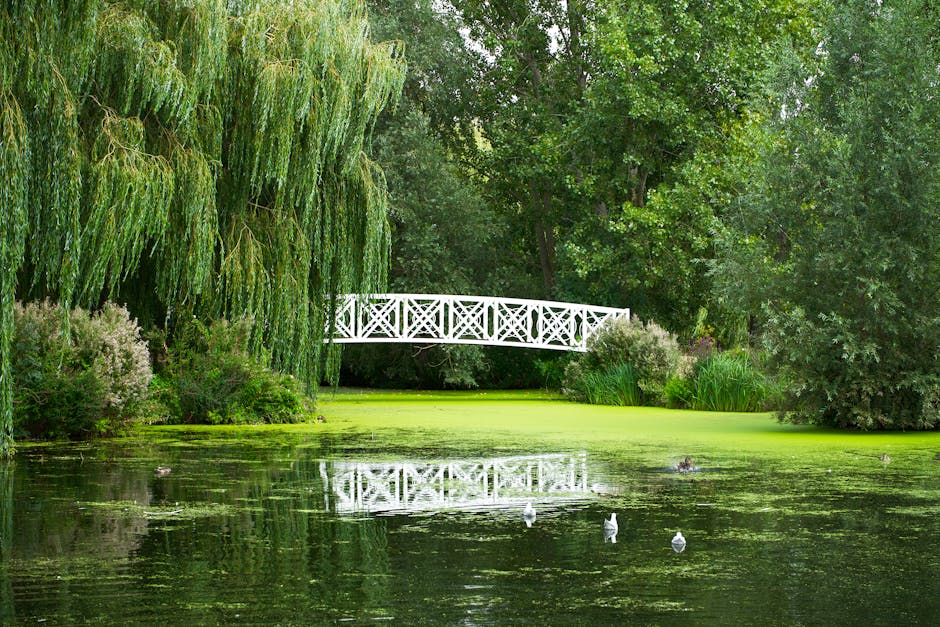 A tranquil scene featuring a calm river with gentle ripples reflecting the greenery surrounding it. Overhanging branches with bright green leaves frame the view, casting dappled sunlight onto the water. In the background, residential buildings with brick facades and large windows are visible beyond a brick wall and dense foliage, indicating an urban park or green space within a residential area. The overall scene suggests a peaceful, natural environment suitable for surface cleaning and maintenance, with lush vegetation and clean water surfaces, reflecting the importance of outdoor hygiene and landscape upkeep. The image exemplifies well-maintained urban greenery, aligning with principles of deep cleaning and environmental sanitisation that Barnes Carpet Cleaning may promote for outdoor and indoor spaces.